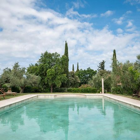 Agriturismo Tra Gli Ulivi, Chiappini Winery Bolgheri Buitenkant foto