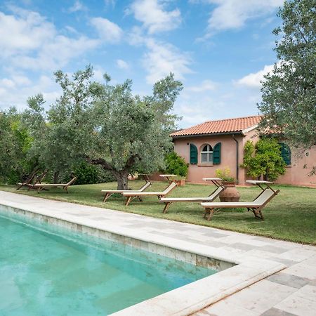 Agriturismo Tra Gli Ulivi, Chiappini Winery Bolgheri Buitenkant foto