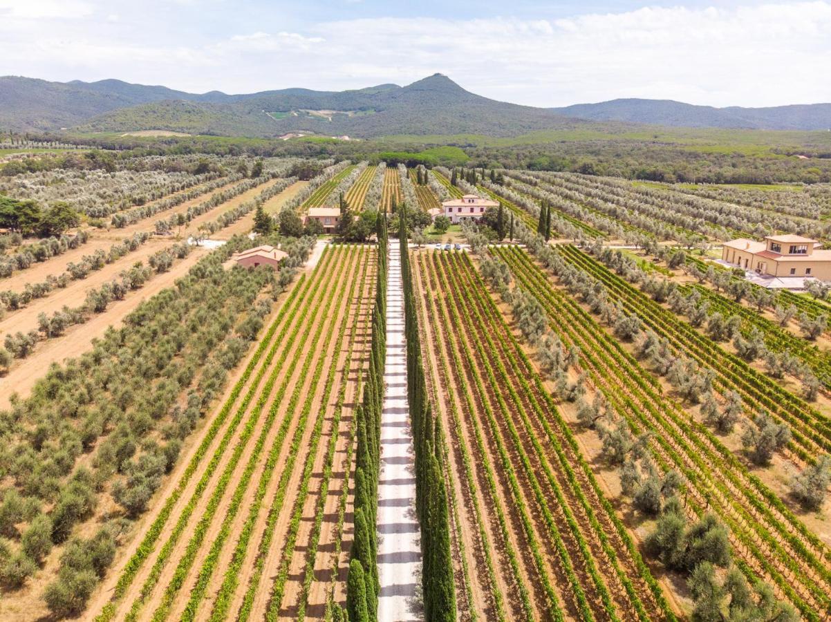 Agriturismo Tra Gli Ulivi, Chiappini Winery Bolgheri Buitenkant foto