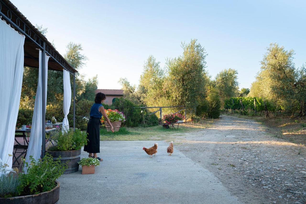 Agriturismo Tra Gli Ulivi, Chiappini Winery Bolgheri Buitenkant foto