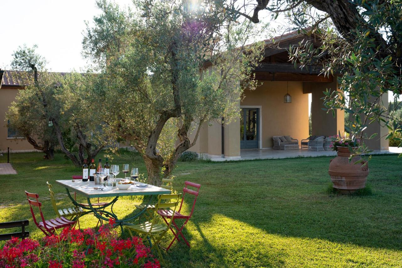 Agriturismo Tra Gli Ulivi, Chiappini Winery Bolgheri Buitenkant foto