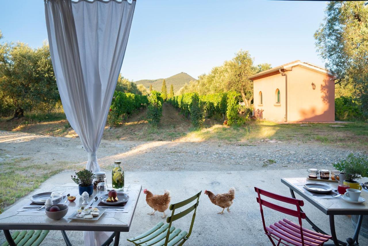 Agriturismo Tra Gli Ulivi, Chiappini Winery Bolgheri Buitenkant foto