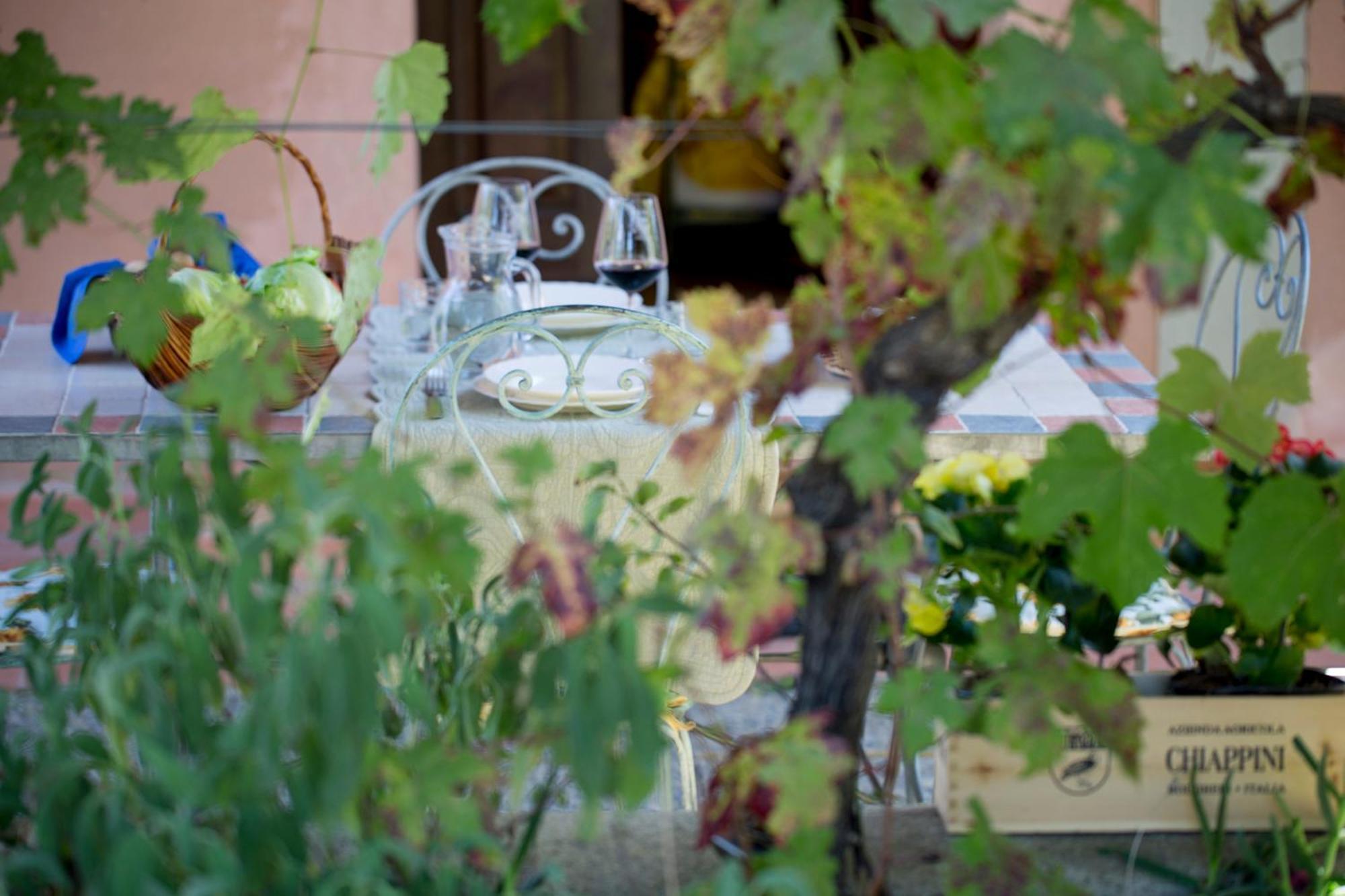 Agriturismo Tra Gli Ulivi, Chiappini Winery Bolgheri Buitenkant foto