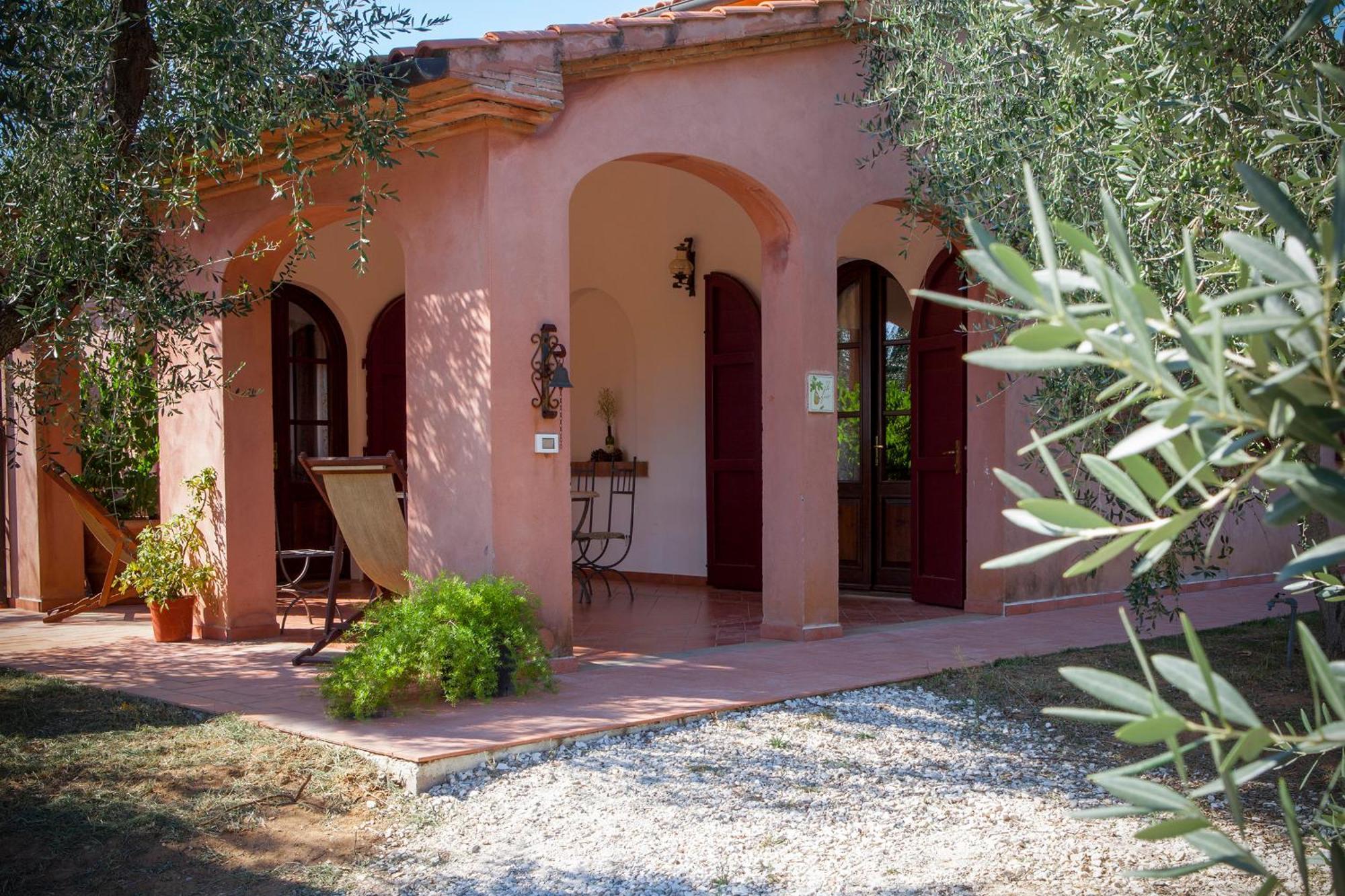 Agriturismo Tra Gli Ulivi, Chiappini Winery Bolgheri Buitenkant foto