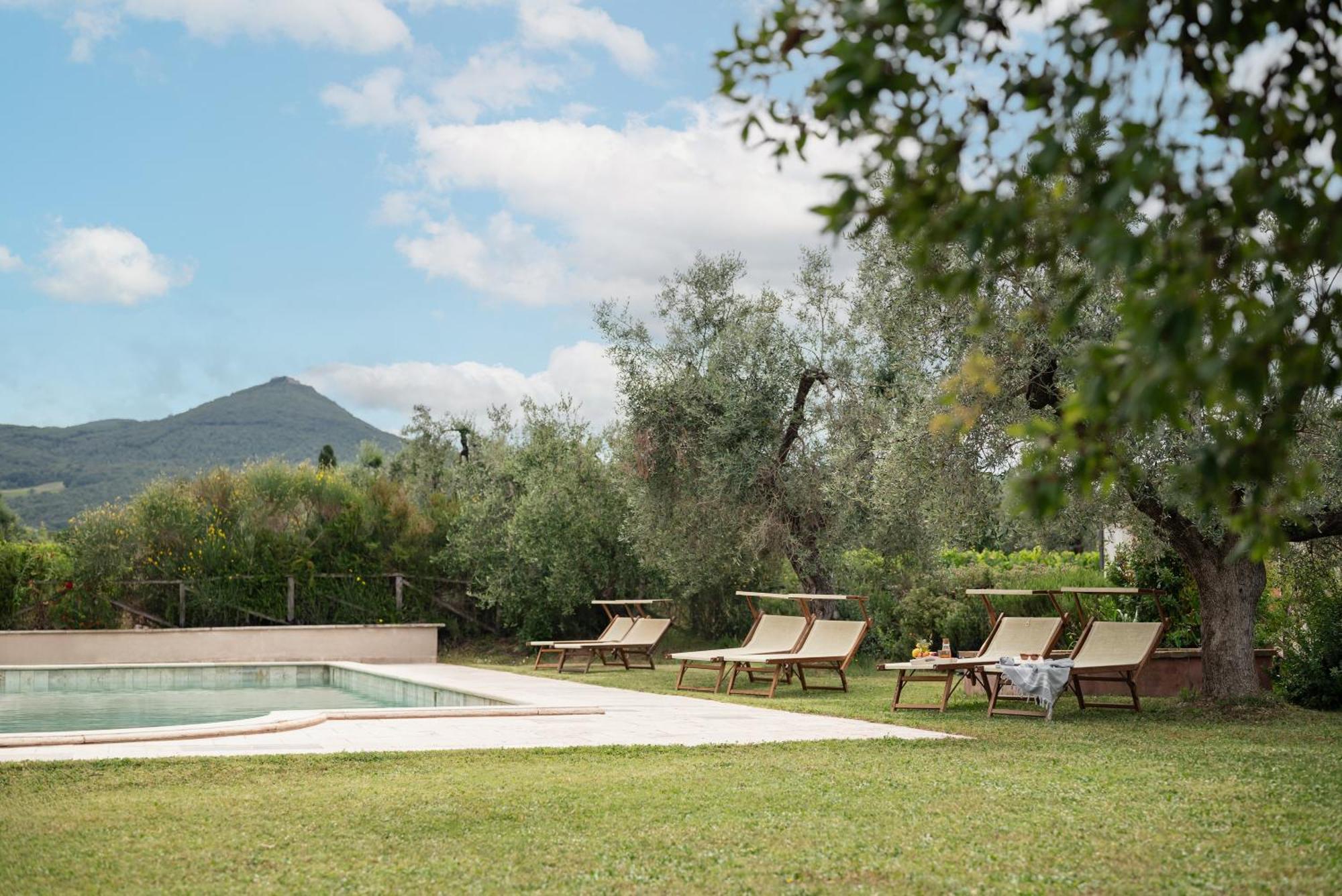 Agriturismo Tra Gli Ulivi, Chiappini Winery Bolgheri Buitenkant foto