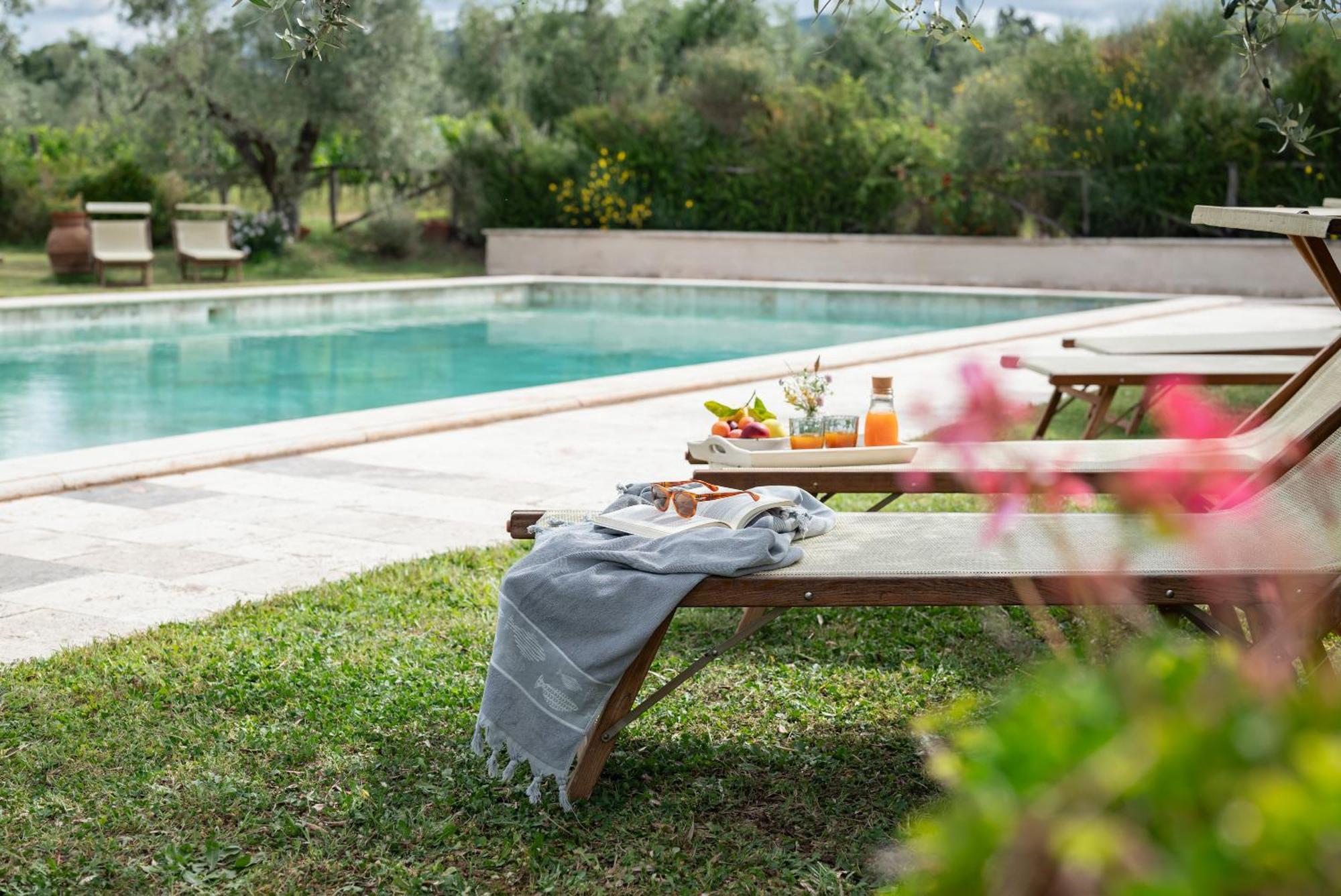 Agriturismo Tra Gli Ulivi, Chiappini Winery Bolgheri Buitenkant foto