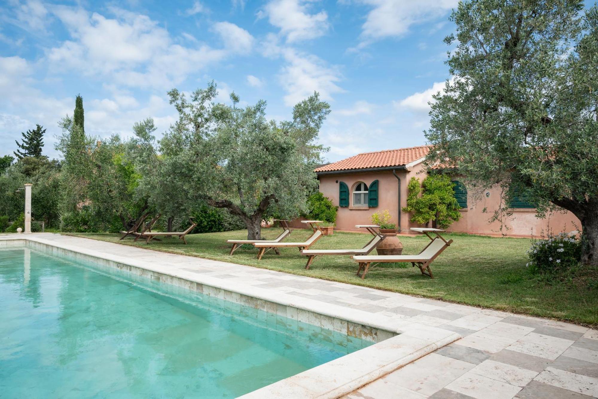 Agriturismo Tra Gli Ulivi, Chiappini Winery Bolgheri Buitenkant foto