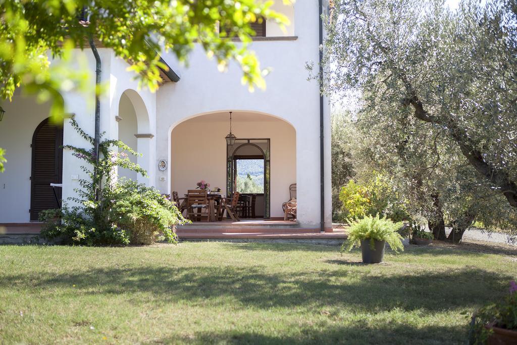 Agriturismo Tra Gli Ulivi, Chiappini Winery Bolgheri Buitenkant foto
