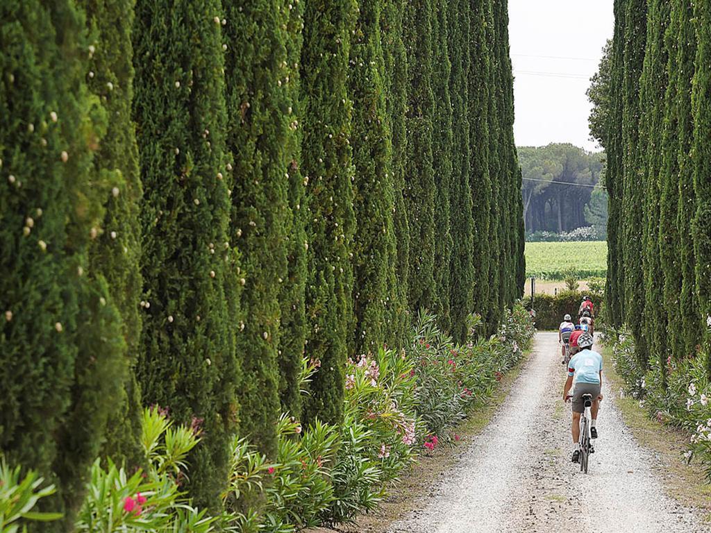 Agriturismo Tra Gli Ulivi, Chiappini Winery Bolgheri Buitenkant foto