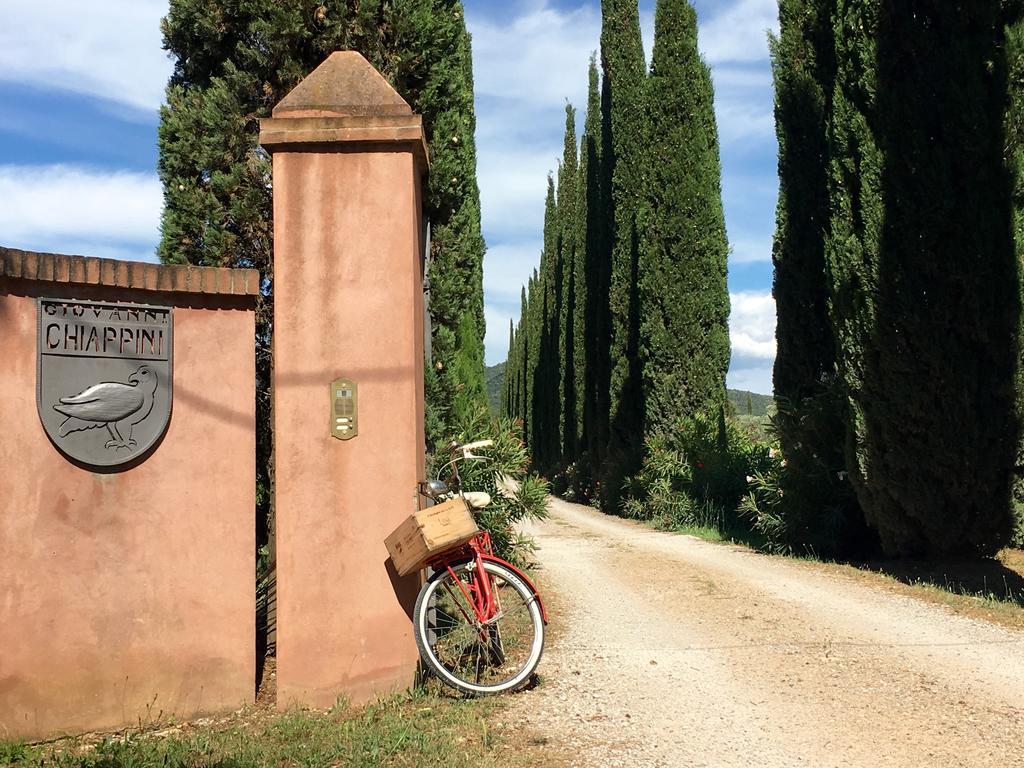 Agriturismo Tra Gli Ulivi, Chiappini Winery Bolgheri Buitenkant foto