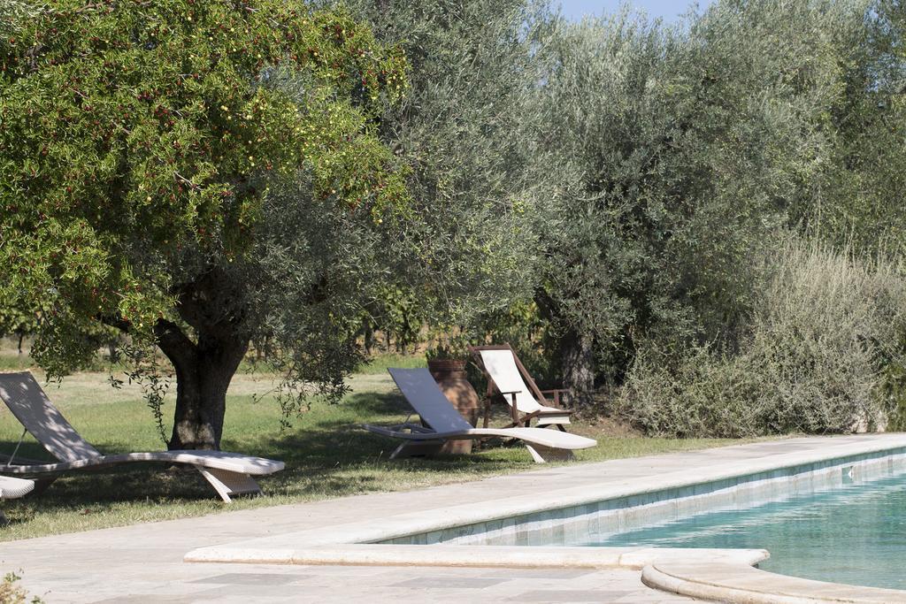 Agriturismo Tra Gli Ulivi, Chiappini Winery Bolgheri Buitenkant foto