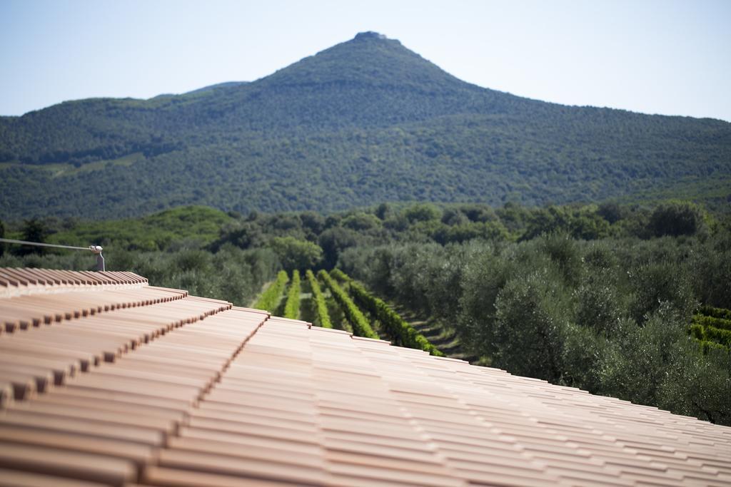 Agriturismo Tra Gli Ulivi, Chiappini Winery Bolgheri Buitenkant foto