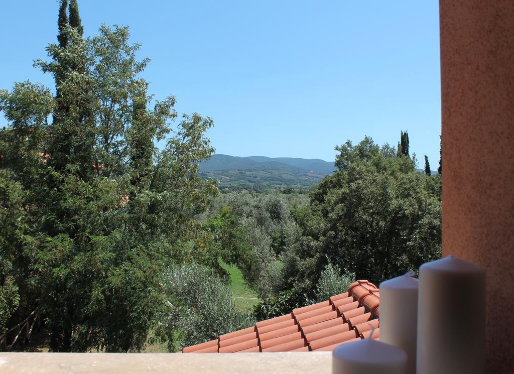Agriturismo Tra Gli Ulivi, Chiappini Winery Bolgheri Buitenkant foto