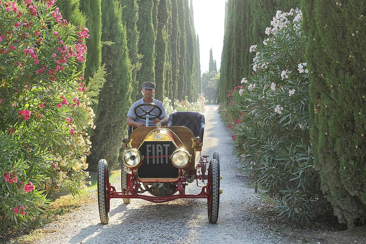 Agriturismo Tra Gli Ulivi, Chiappini Winery Bolgheri Buitenkant foto